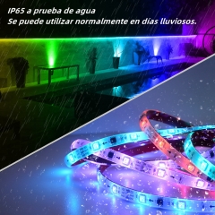 DOSYU 5M/16.4F Strip Light, 3528 RGB LED Strip Light with Remote Control for TV, Party, Home, DIY, Christmas & Halloween Decorating