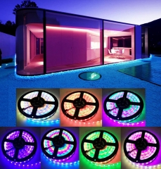 DOSYU 10M/32.8FT Strip Light, 3528 RGB LED Strip Light with Remote Control for TV, Party, Home, DIY, Christmas & Halloween Decorating