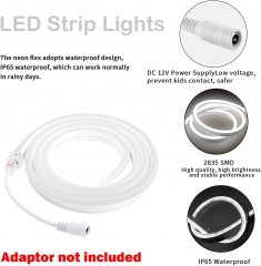 DOSYU Neon Strip, 5M/16.4ft Waterproof Flexible Neon (Without Adapter)