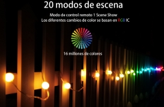 10M 66LED Earth Fairy String Light - USB Bluetooth
