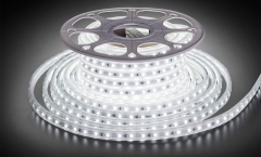25M 5050/2835 LED High Voltage Strip Light