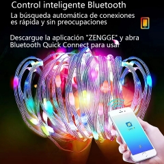 Colorful leather wire LED light string Interior and exterior decoration - Smart Bluetooth APP control